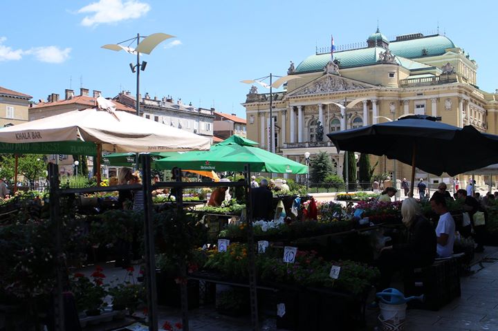 Eine der Sehenswürdigkeiten rund um die Insel ist die Stadt Rijeka. Als drittgrößte Stadt Kroatiens bietet sie alle Annehmlichkeiten einer Großstadt und so sind die Möglichkeiten, etwas zu unternehmen auch vielfältig. Untere anderem sind der Dom Sv Maria und die Kirche Sv Vid sehenswerte geistliche Häuser. Zahlreiche Museen können besucht werden, darunter das Marine- und Heimatmuseum oder das Stadtmuseum. Für kulturell Interessierte lohnt sich möglicherweise die Rijeka-Card, die einige Vergünstigungen sowie die Nutzung der öffentliche Verkehrsmittel erlaubt.